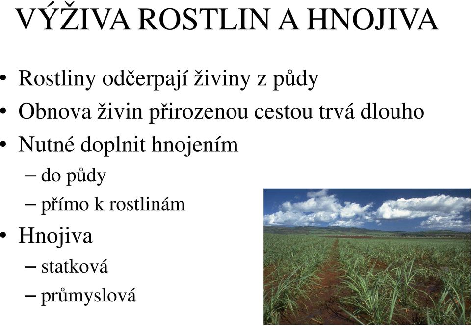 trvá dlouho Nutné doplnit hnojením do půdy