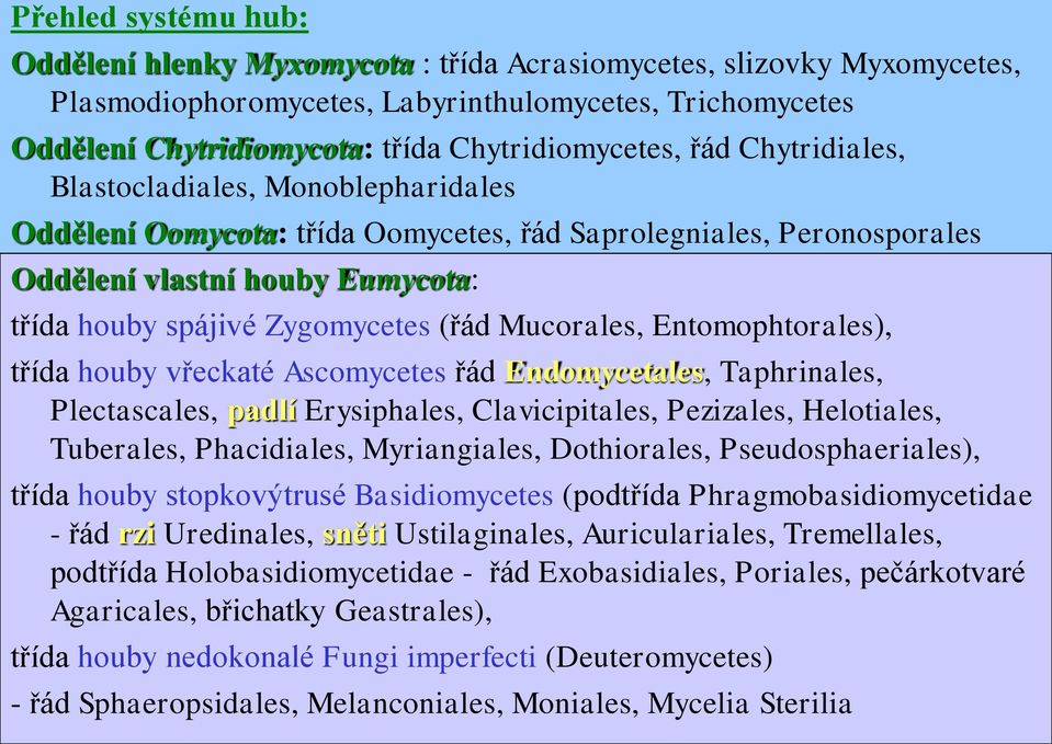 Zygomycetes (řád Mucorales, Entomophtorales), třída houby vřeckaté Ascomycetes řád Endomycetales, Taphrinales, Plectascales, padlí Erysiphales, Clavicipitales, Pezizales, Helotiales, Tuberales,