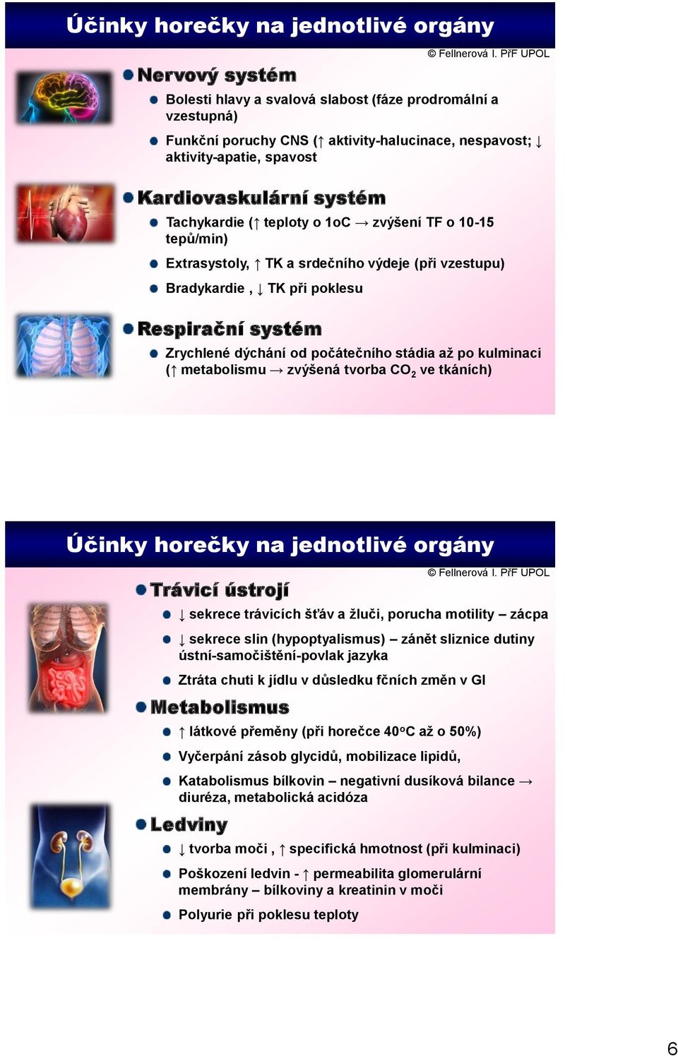 počátečního stádia až po kulminaci ( metabolismu zvýšená tvorba CO 2 ve tkáních) Účinky horečky na jednotlivé orgány Trávicí ústrojí sekrece trávicích šťáv a žluči, porucha motility zácpa sekrece