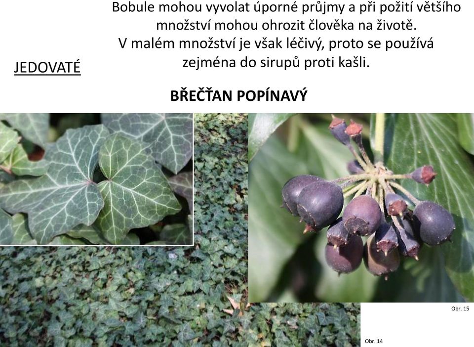 životě.