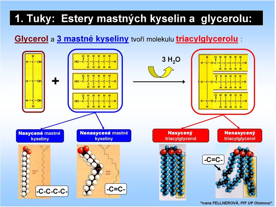 Nasycené mastné kyseliny Nenasycené mastné kyseliny Nasycený