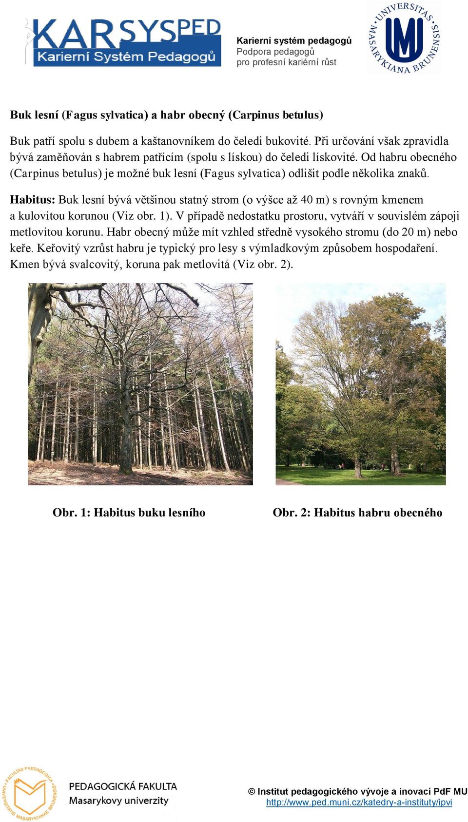 Od habru obecného (Carpinus betulus) je možné buk lesní (Fagus sylvatica) odlišit podle několika znaků.