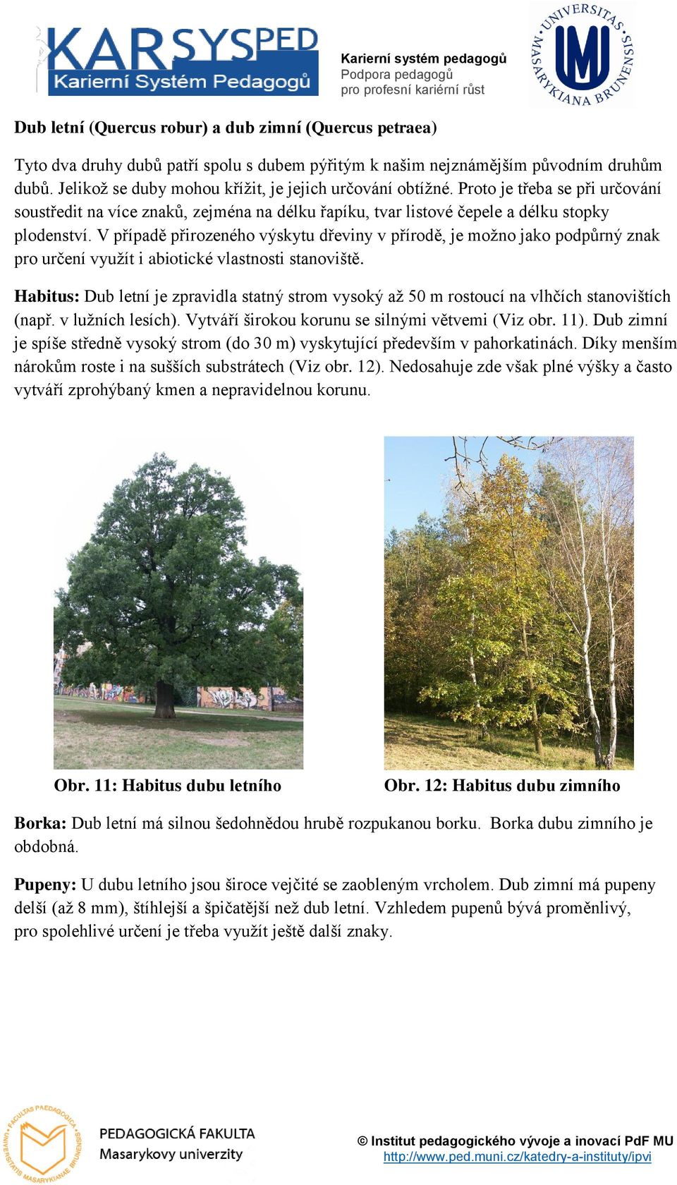V případě přirozeného výskytu dřeviny v přírodě, je možno jako podpůrný znak pro určení využít i abiotické vlastnosti stanoviště.