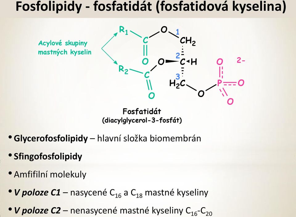 a 18 mastné kyseliny V poloze 2 nenasycené mastné kyseliny 16-20 Acylové
