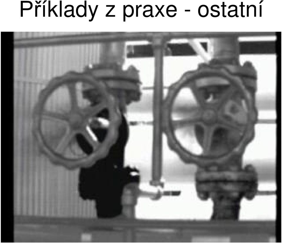ostatní
