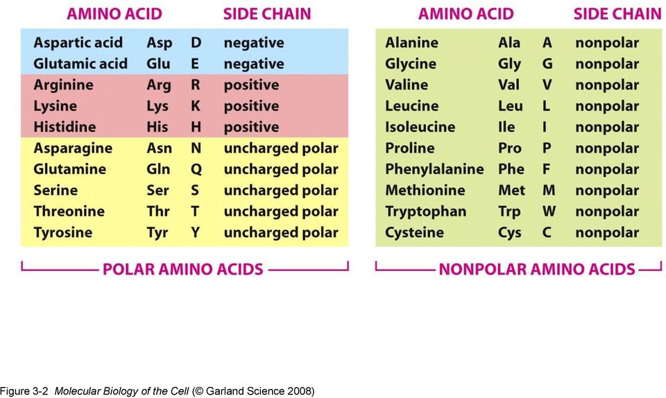 Biology of the