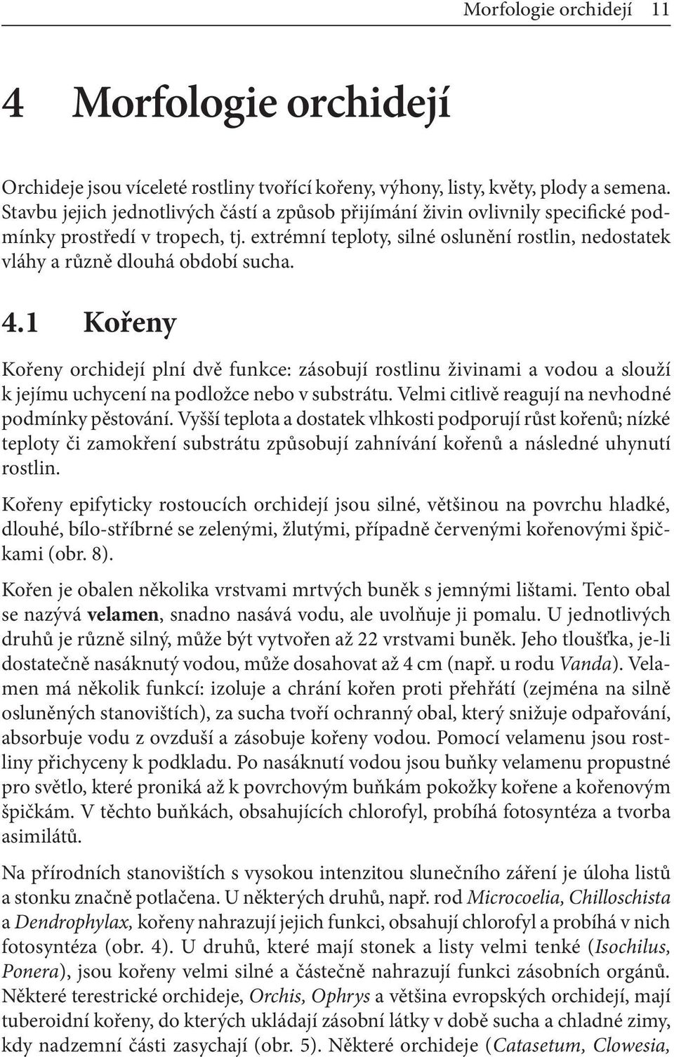 4.1 Kořeny Kořeny orchidejí plní dvě funkce: zásobují rostlinu živinami a vodou a slouží k jejímu uchycení na podložce nebo v substrátu. Velmi citlivě reagují na nevhodné podmínky pěstování.