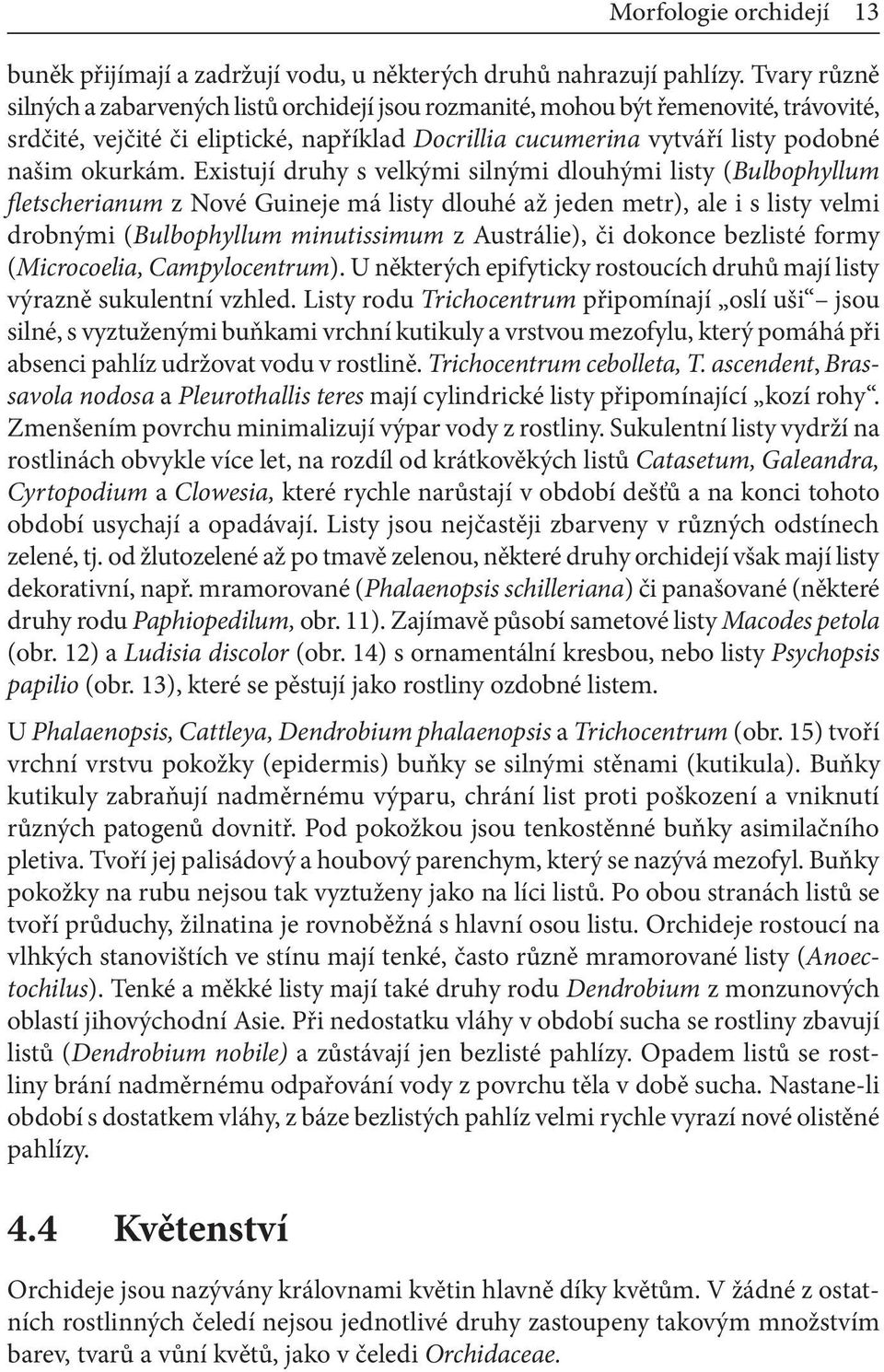 Existují druhy s velkými silnými dlouhými listy (Bulbophyllum fletscherianum z Nové Guineje má listy dlouhé až jeden metr), ale i s listy velmi drobnými (Bulbophyllum minutissimum z Austrálie), či