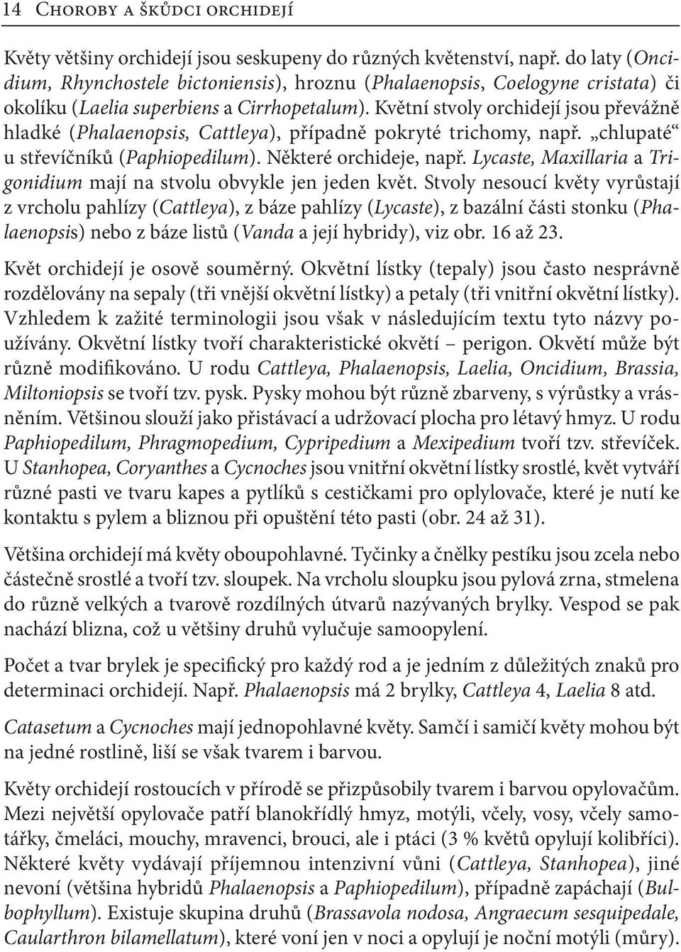 Květní stvoly orchidejí jsou převážně hladké (Phalaenopsis, Cattleya), případně pokryté trichomy, např. chlupaté u střevíčníků (Paphiopedilum). Některé orchideje, např.