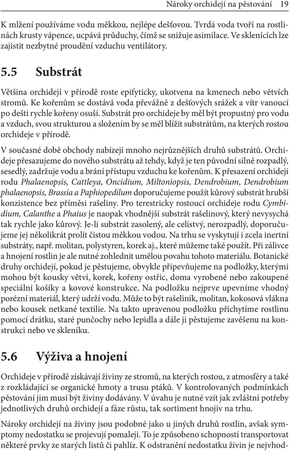 Ke kořenům se dostává voda převážně z dešťových srážek a vítr vanoucí po dešti rychle kořeny osuší.