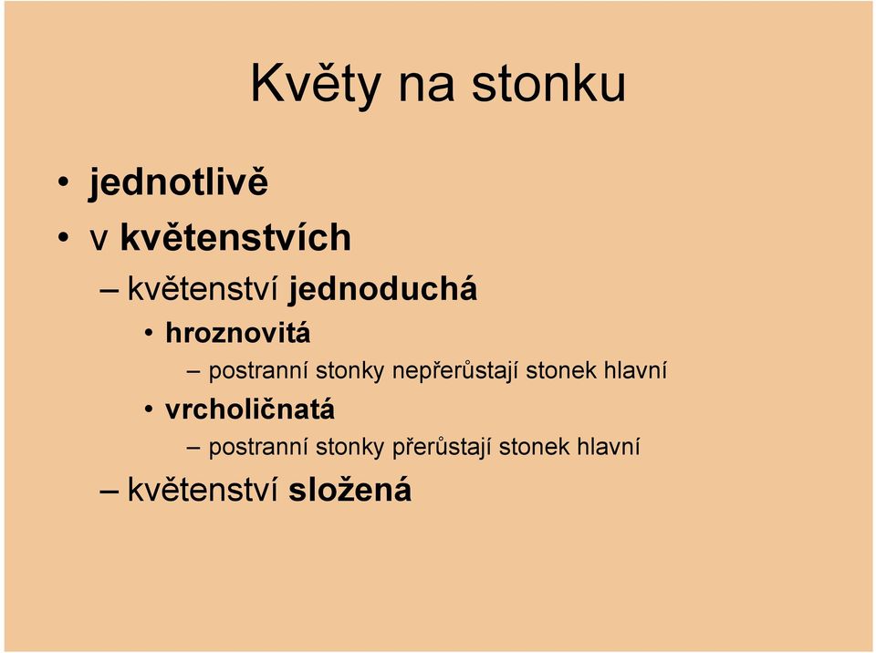 stonky nepřerůstají stonek hlavní vrcholičnatá