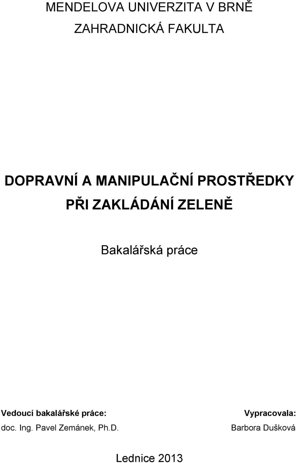 Bakalářská práce Vedoucí bakalářské práce: doc. Ing.