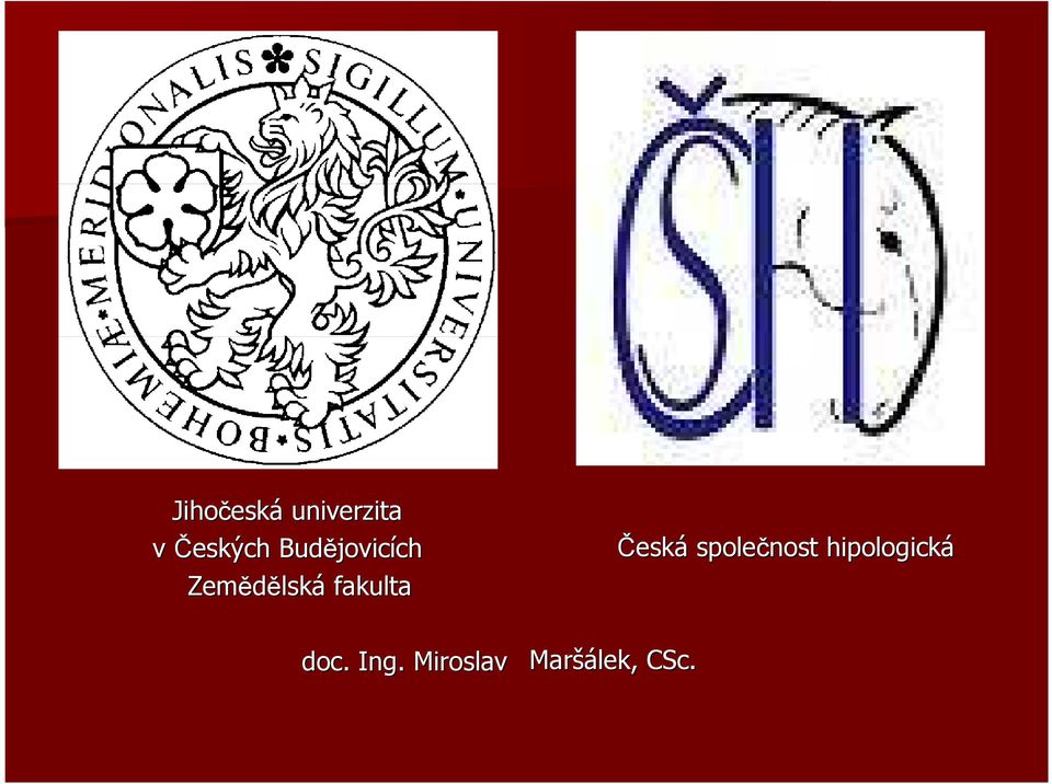fakulta Česká společnost
