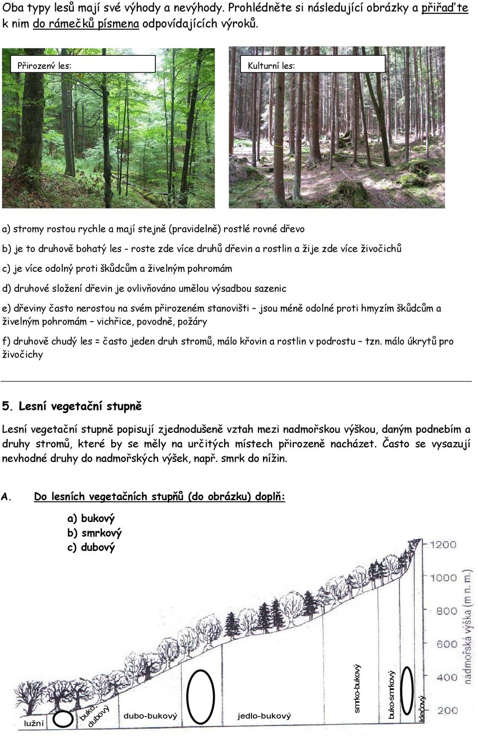 více odolný proti škůdcům a živelným pohromám d) druhové složení dřevin je ovlivňováno umělou výsadbou sazenic e) dřeviny často nerostou na svém přirozeném stanovišti jsou méně odolné proti hmyzím