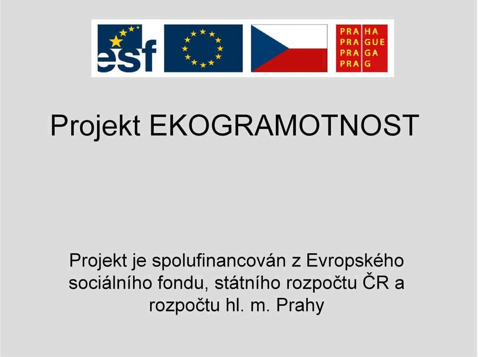 Evropského sociálního fondu,