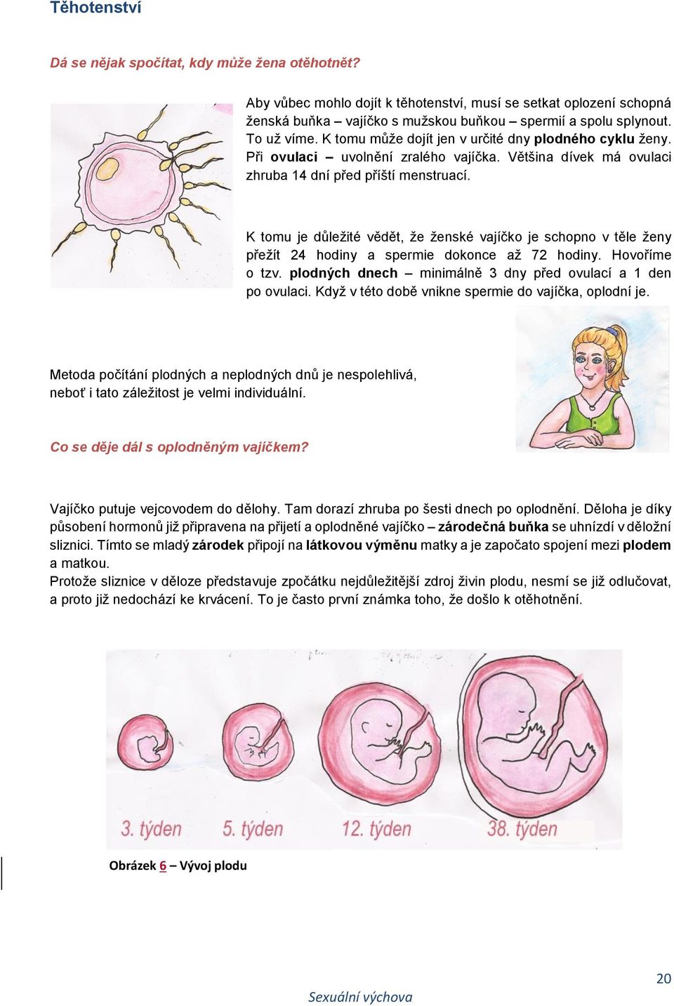 K tomu je důležité vědět, že ženské vajíčko je schopno v těle ženy přežít 24 hodiny a spermie dokonce až 72 hodiny. Hovoříme o tzv. plodných dnech minimálně 3 dny před ovulací a 1 den po ovulaci.