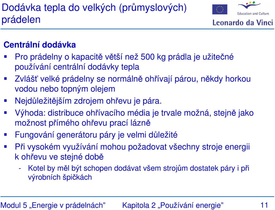 Výhoda: distribuce ohřívacího média je trvale možná, stejně jako možnost přímého ohřevu prací lázně Fungování generátoru páry je velmi důležité Při vysokém využívání