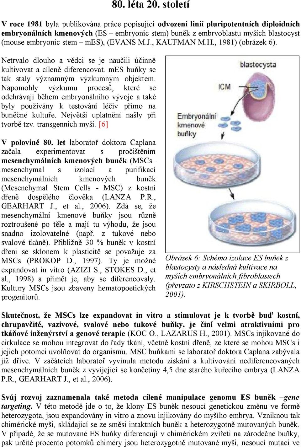 stem mes), (EVANS M.J., KAUFMAN M.H., 1981) (obrázek 6). Netrvalo dlouho a vědci se je naučili účinně kultivovat a cíleně diferencovat. mes buňky se tak staly významným výzkumným objektem.