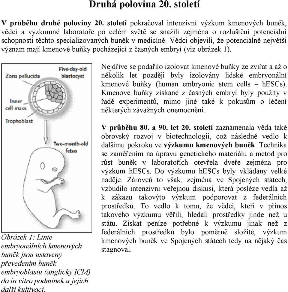 Vědci objevili, že potenciálně největší význam mají kmenové buňky pocházející z časných embryí (viz obrázek 1).