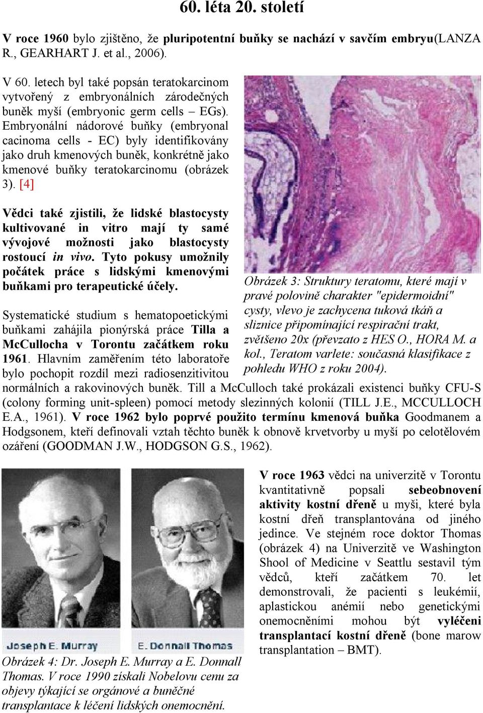Embryonální nádorové buňky (embryonal cacinoma cells - EC) byly identifikovány jako druh kmenových buněk, konkrétně jako kmenové buňky teratokarcinomu (obrázek 3).