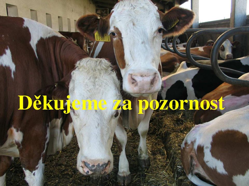 pozornost