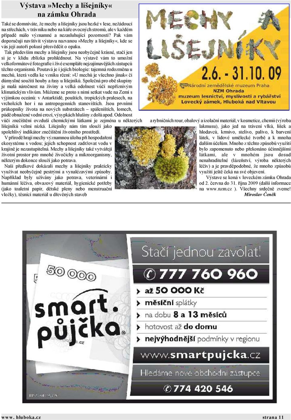 Tak především mechy a lišejníky jsou neobyčejně krásné, stačí jen si je v klidu zblízka prohlédnout.