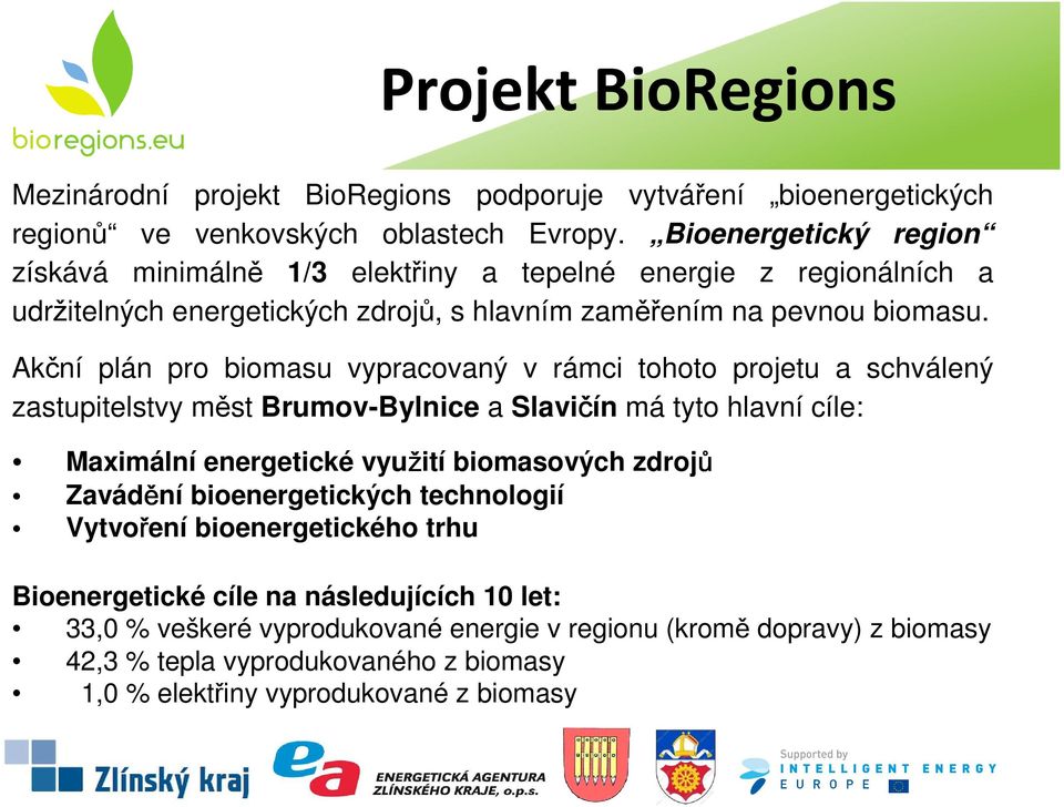 Akční plán pro biomasu vypracovaný v rámci tohoto projetu a schválený zastupitelstvy měst Brumov-Bylnice a Slavičín má tyto hlavní cíle: Maximální energetické využití biomasových zdrojů
