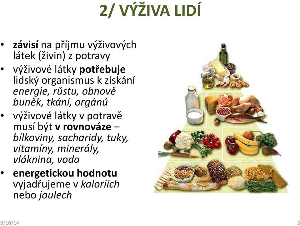 látky vpotravě musí být vrovnováze bílkoviny, sacharidy, tuky, vitamíny,