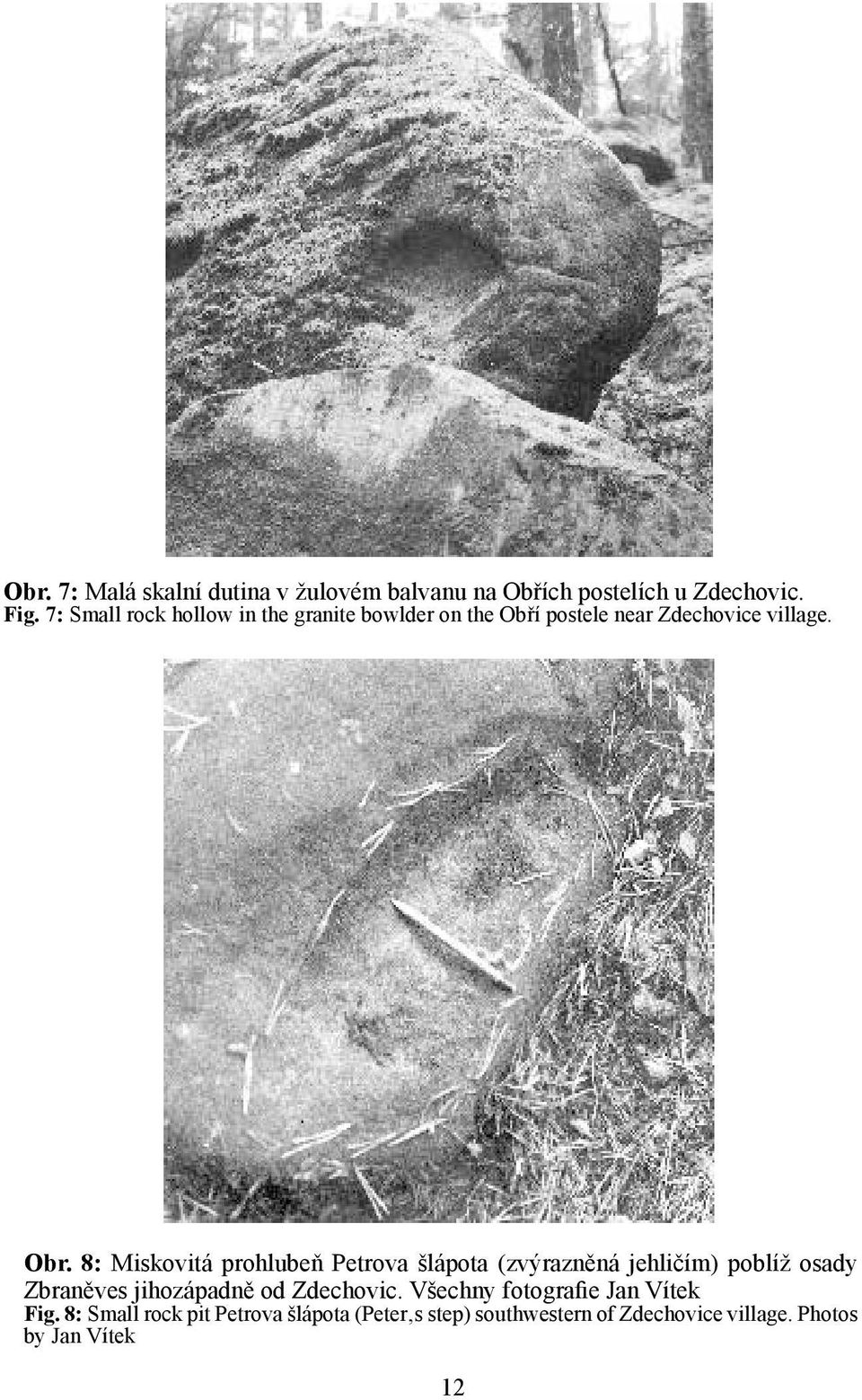 8: Miskovitá prohlubeň Petrova šlápota (zvýrazněná jehličím) poblíž osady Zbraněves jihozápadně od