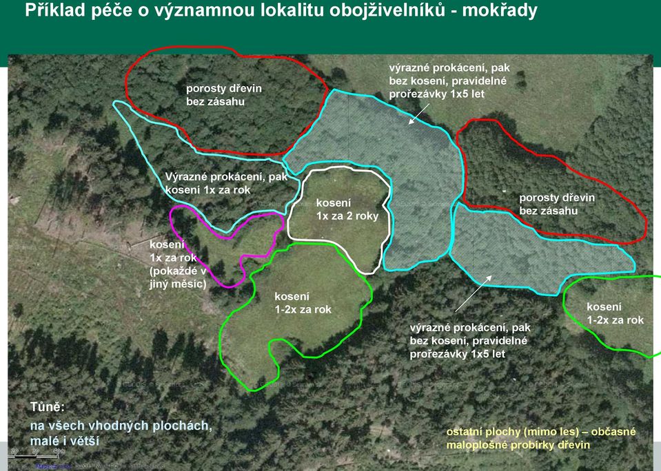 kosení 1x za rok (pokaždé v jiný měsíc) kosení 1-2x za rok výrazné prokácení, pak bez kosení, pravidelné prořezávky 1x5