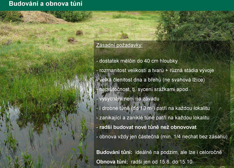 - vysychání není na závadu - i drobné tůně (do 10 m2) patří na každou lokalitu - zanikající a zaniklé tůně patří na každou lokalitu -