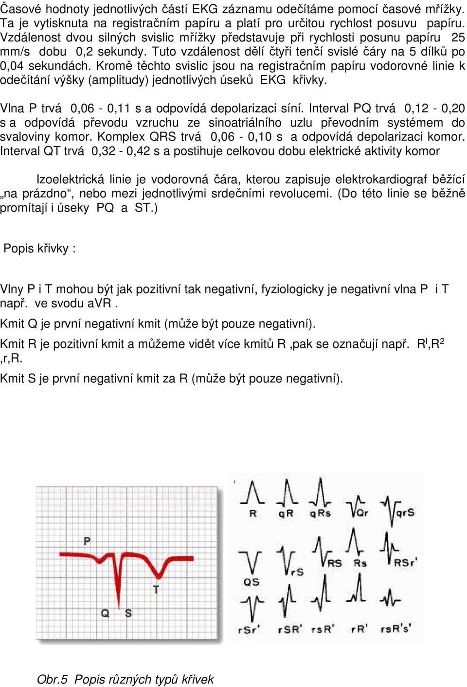 Kromě těchto svislic jsou na registračním papíru vodorovné linie k odečítání výšky (amplitudy) jednotlivých úseků EKG křivky. Vlna P trvá 0,06-0,11 s a odpovídá depolarizaci síní.