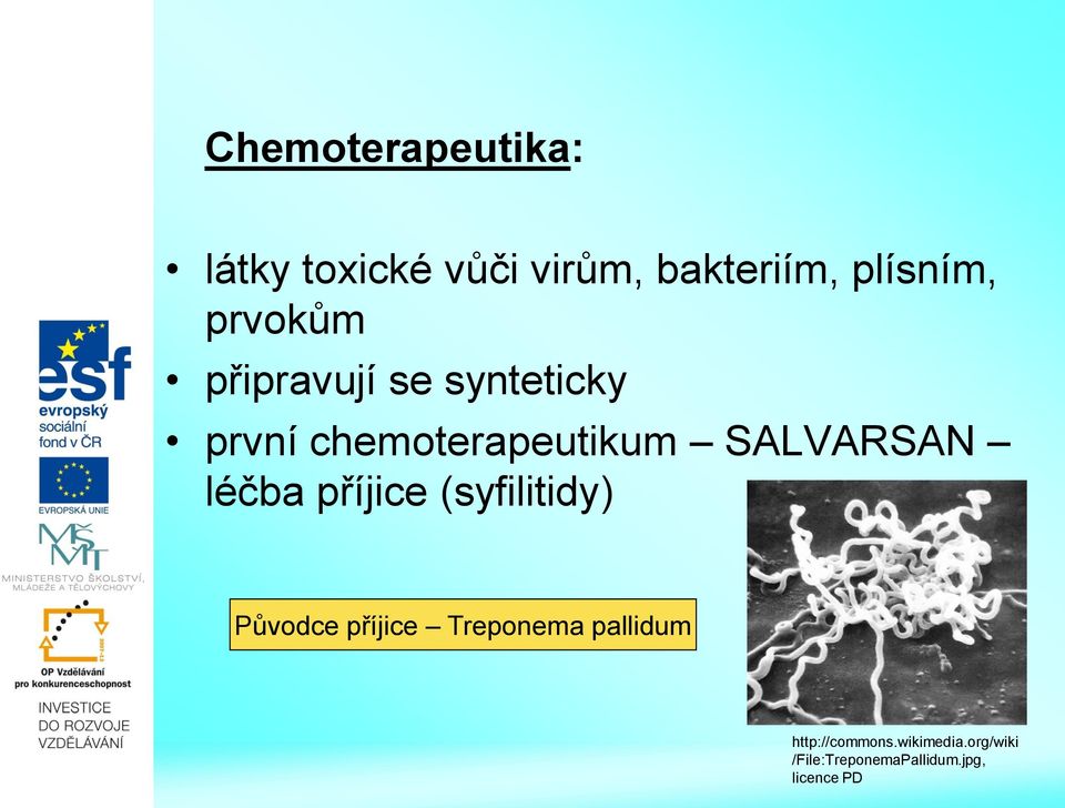 léčba příjice (syfilitidy) Původce příjice Treponema pallidum