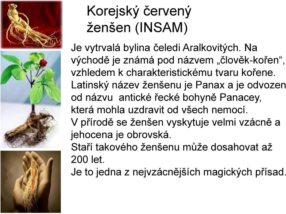 Latinský název ženšenu je Panax a je odvozen od názvu antické řecké bohyně Panacey, která mohla uzdravit od