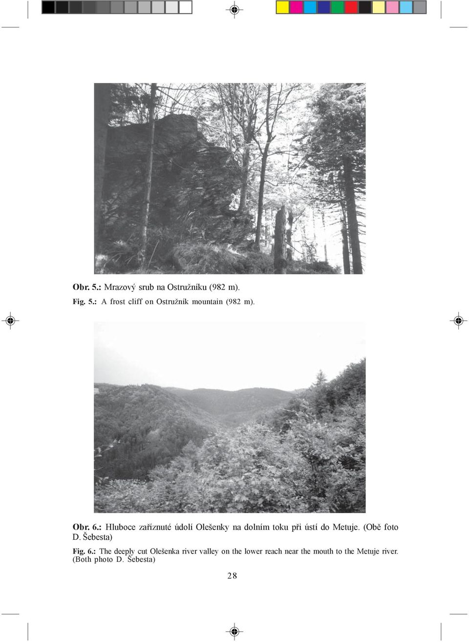 (Obě foto D. Šebesta) Fig. 6.
