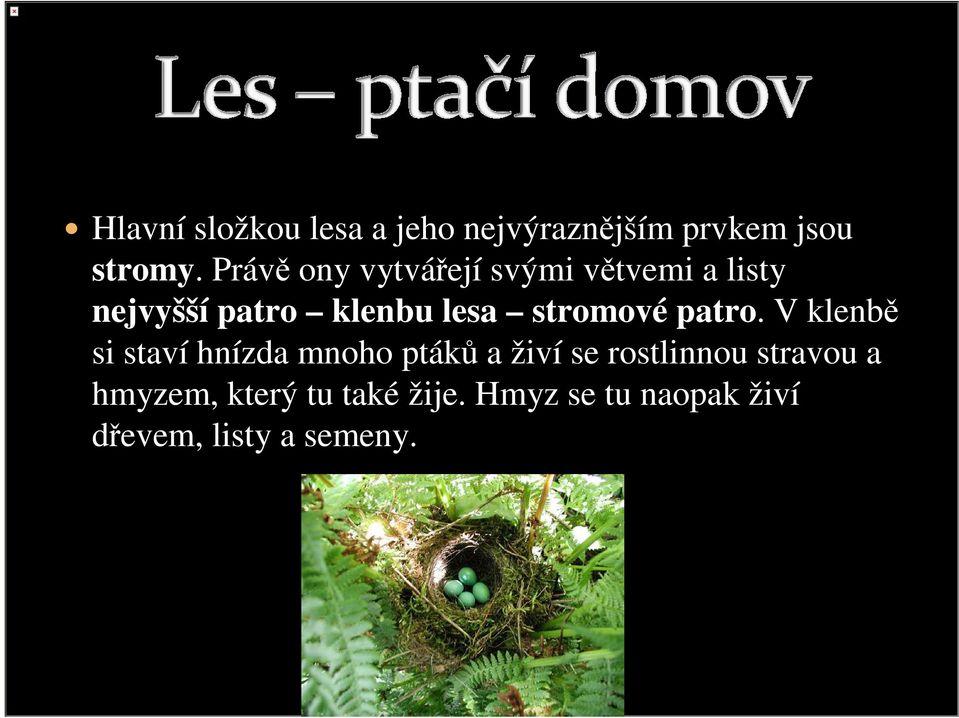 stromové patro.