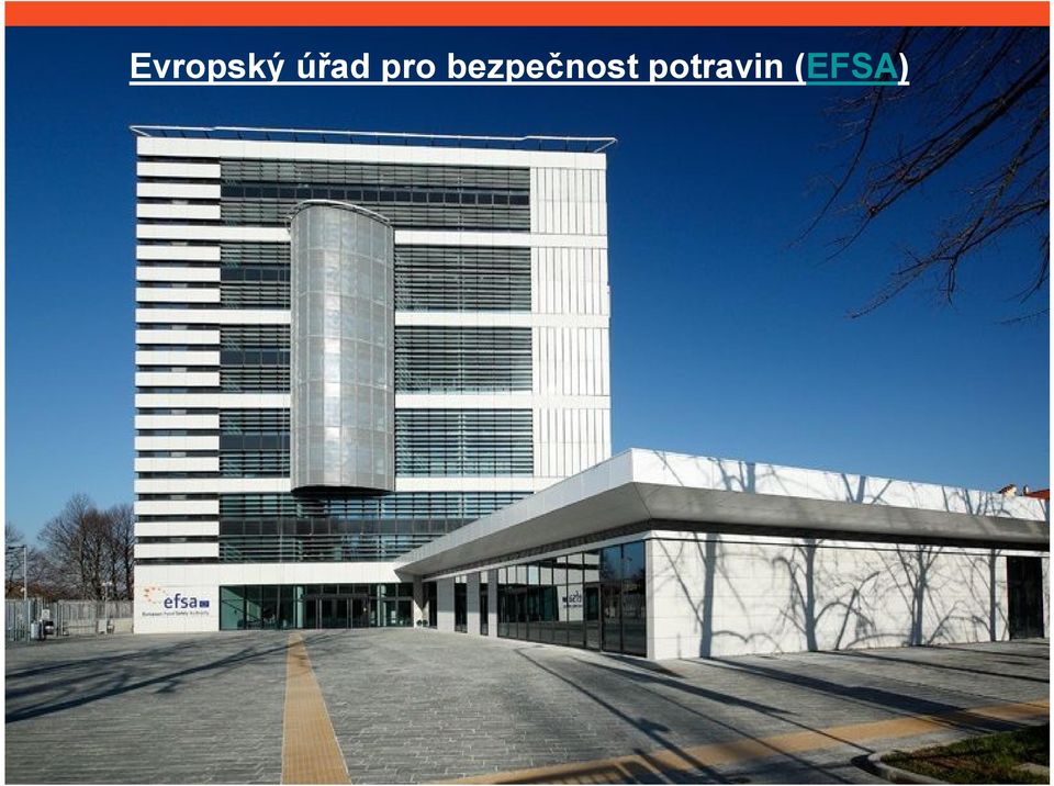 bezpečnost