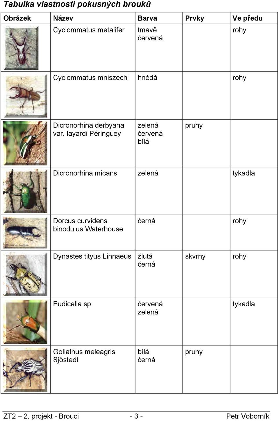 layardi Péringuey zelená červená bílá pruhy Dicronorhina micans zelená tykadla Dorcus curvidens binodulus Waterhouse