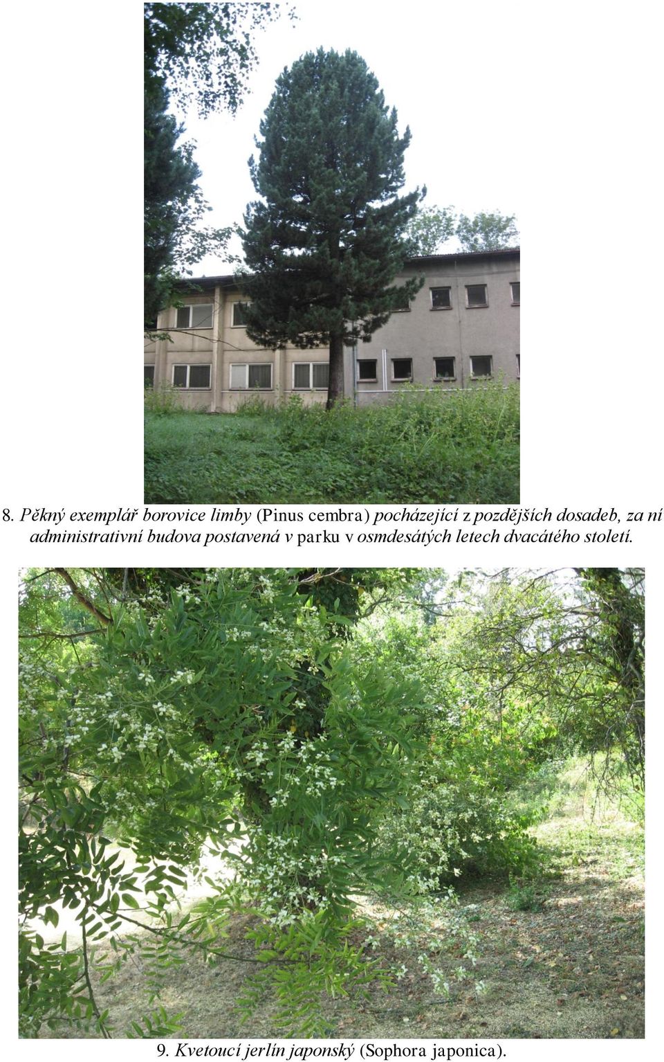 administrativní budova postavená v parku v