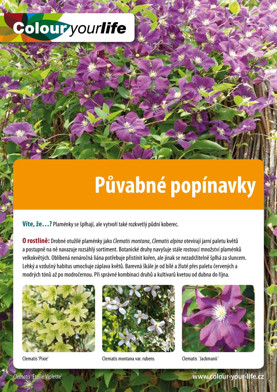 Botanické druhy navyšuje stále rostoucí množství plaménků velkokvětých. Oblíbená nenáročná liána potřebuje přistínit kořen, ale jinak se nezadržitelně šplhá za sluncem.