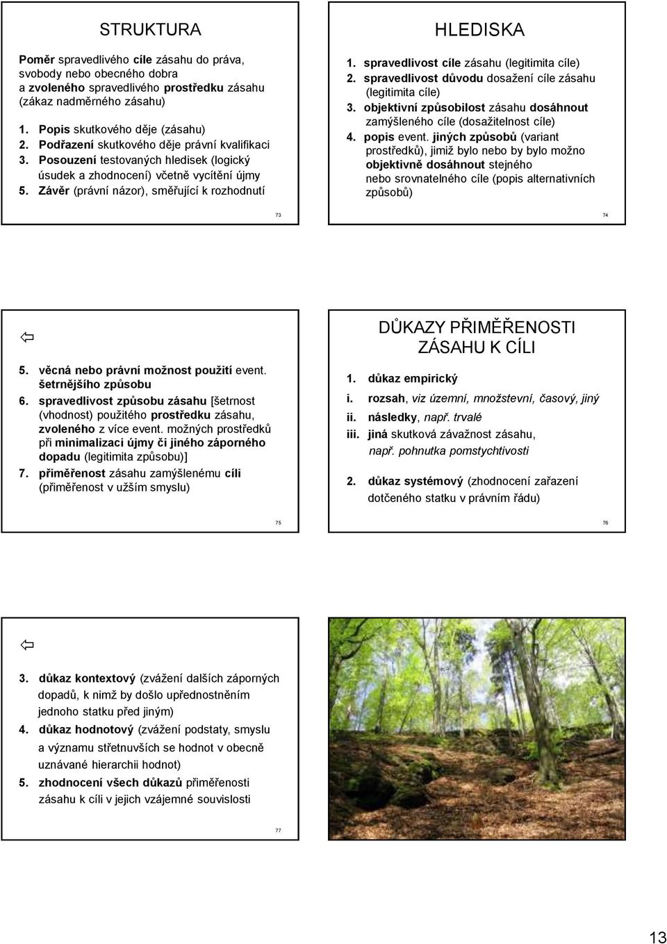 spravedlivost cíle zásahu (legitimita cíle) 2. spravedlivost důvodu dosažení cíle zásahu (legitimita cíle) 3. objektivní způsobilost zásahu dosáhnout zamýšleného cíle (dosažitelnost cíle) 4.