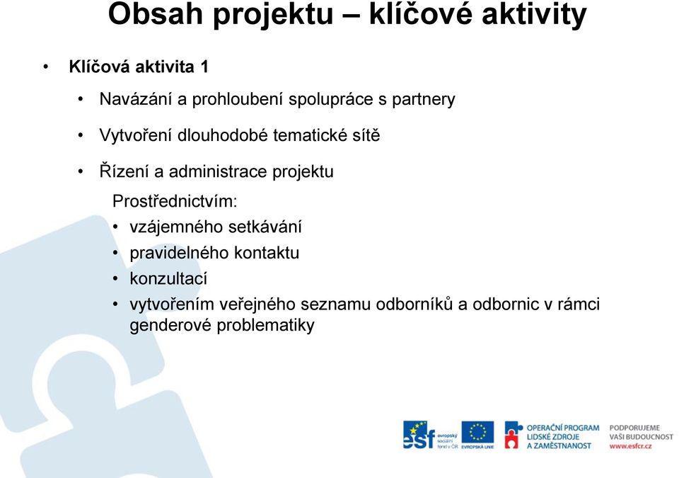 administrace projektu Prostřednictvím: vzájemného setkávání pravidelného