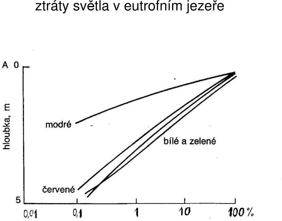eutrofním