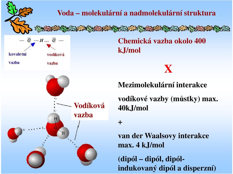 vodíkové vazby (můstky) max.