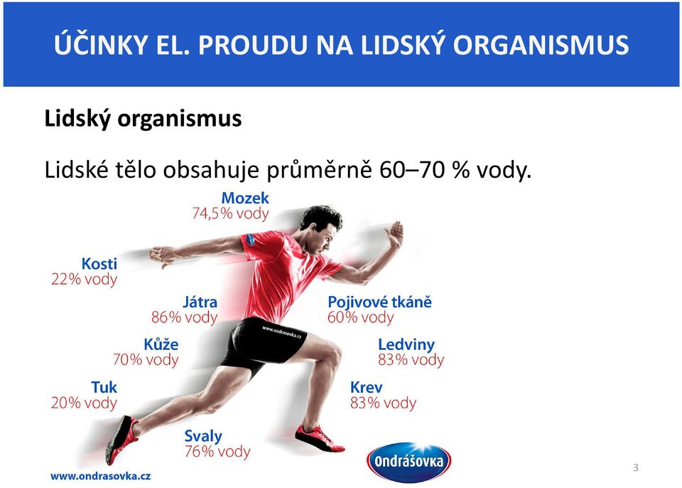 ORGANISMUS Lidský