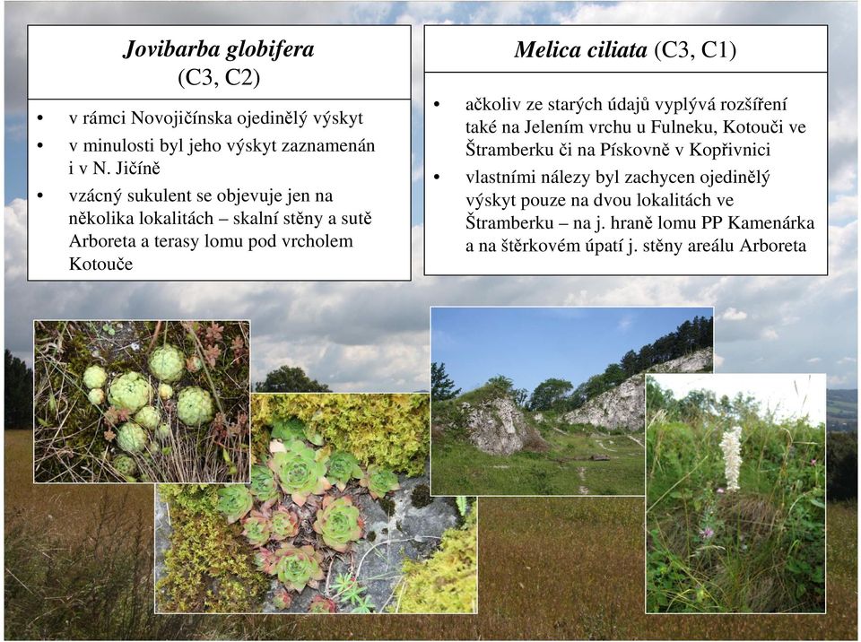 ciliata (C3, C1) ačkoliv ze starých údajů vyplývá rozšíření také na Jelením vrchu u Fulneku, Kotouči ve Štramberku či na Pískovně v