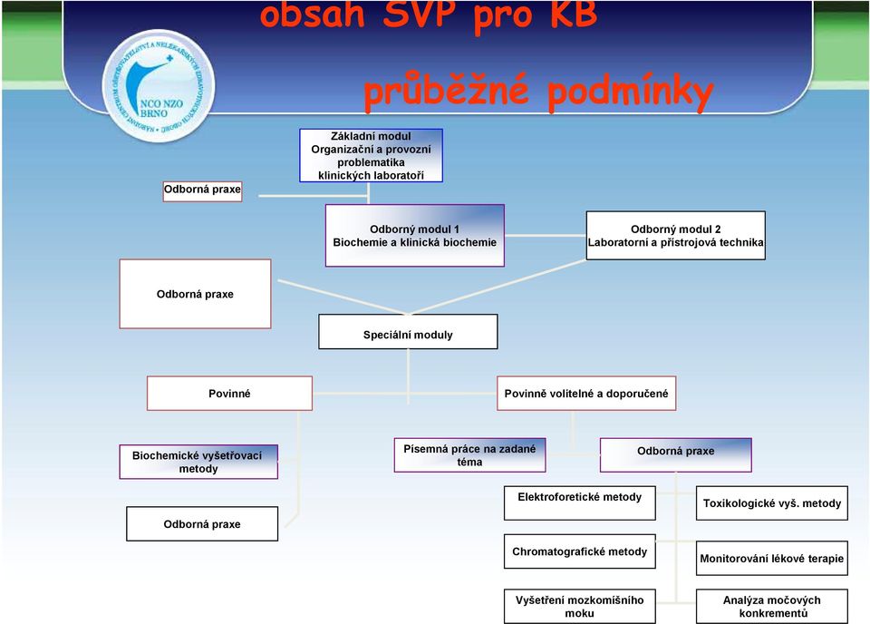 Povinně volitelné a doporučené Biochemické vyšetřovací metody Písemná práce na zadané téma Odborná praxe Odborná praxe