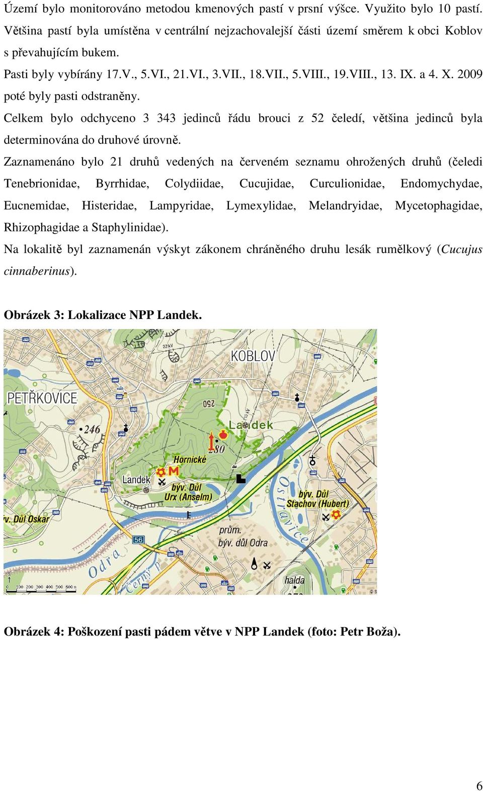 Celkem bylo odchyceno 3 343 jedinců řádu brouci z 52 čeledí, většina jedinců byla determinována do druhové úrovně.