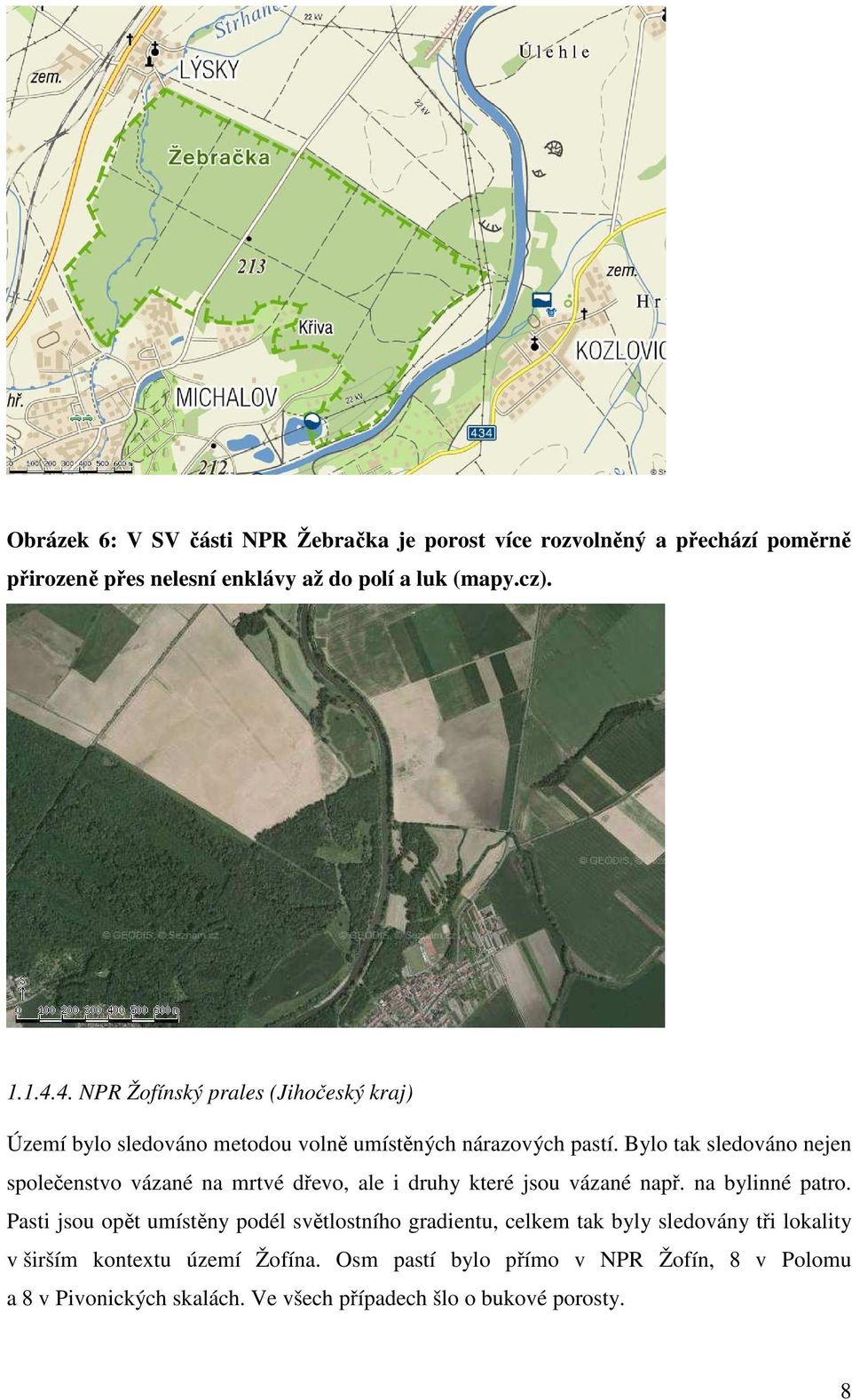 Bylo tak sledováno nejen společenstvo vázané na mrtvé dřevo, ale i druhy které jsou vázané např. na bylinné patro.