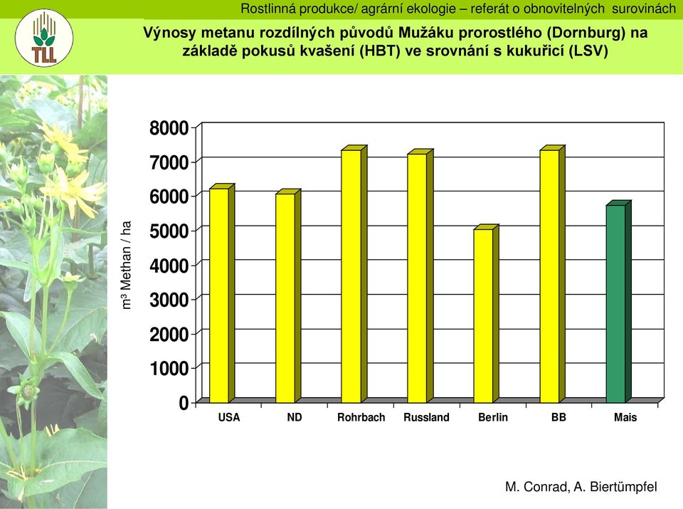 m³ Methan / ha 8000 7000 6000 5000 4000 3000 2000 1000 0 USA